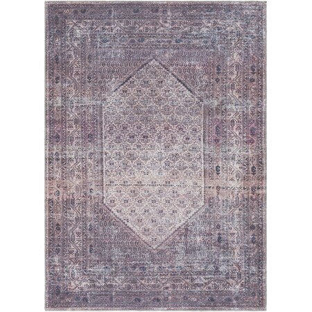 Livabliss Colin CLN-2313 Machine Washable Area Rug CLN2313-679